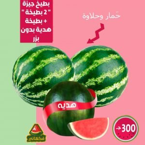 بطيخ جيزة مرسي مطروح