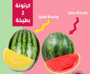 كرتونة ميكس 2 بطيخة (احمر-اصفر)  10ك